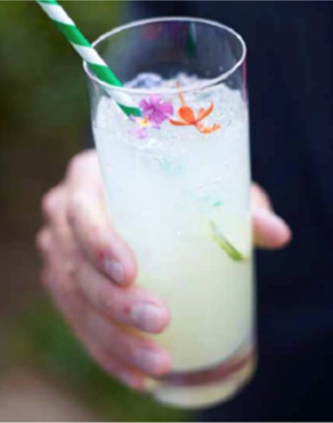 Summer Entertaining Series: Refreshing Spring Cocktail: Rollins Collins