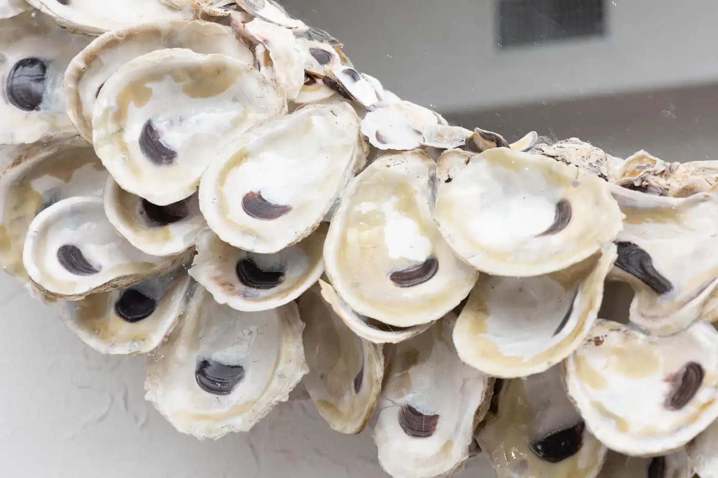 Oyster Shell Mirror