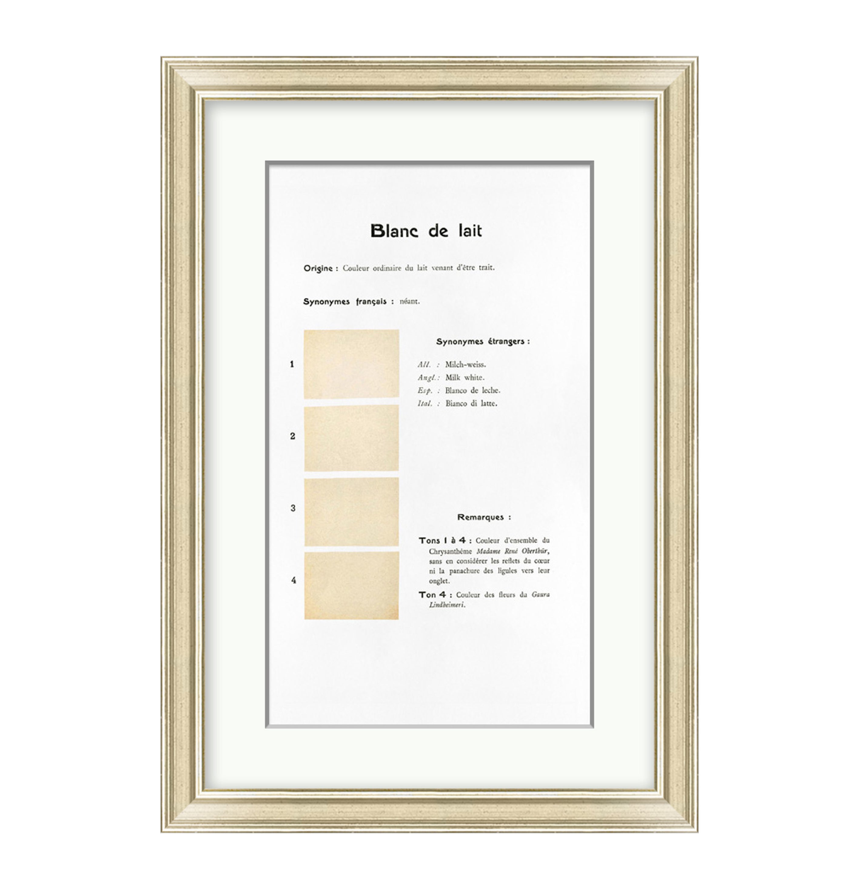 Danielle Rollins French Historical Color Analysis Collection