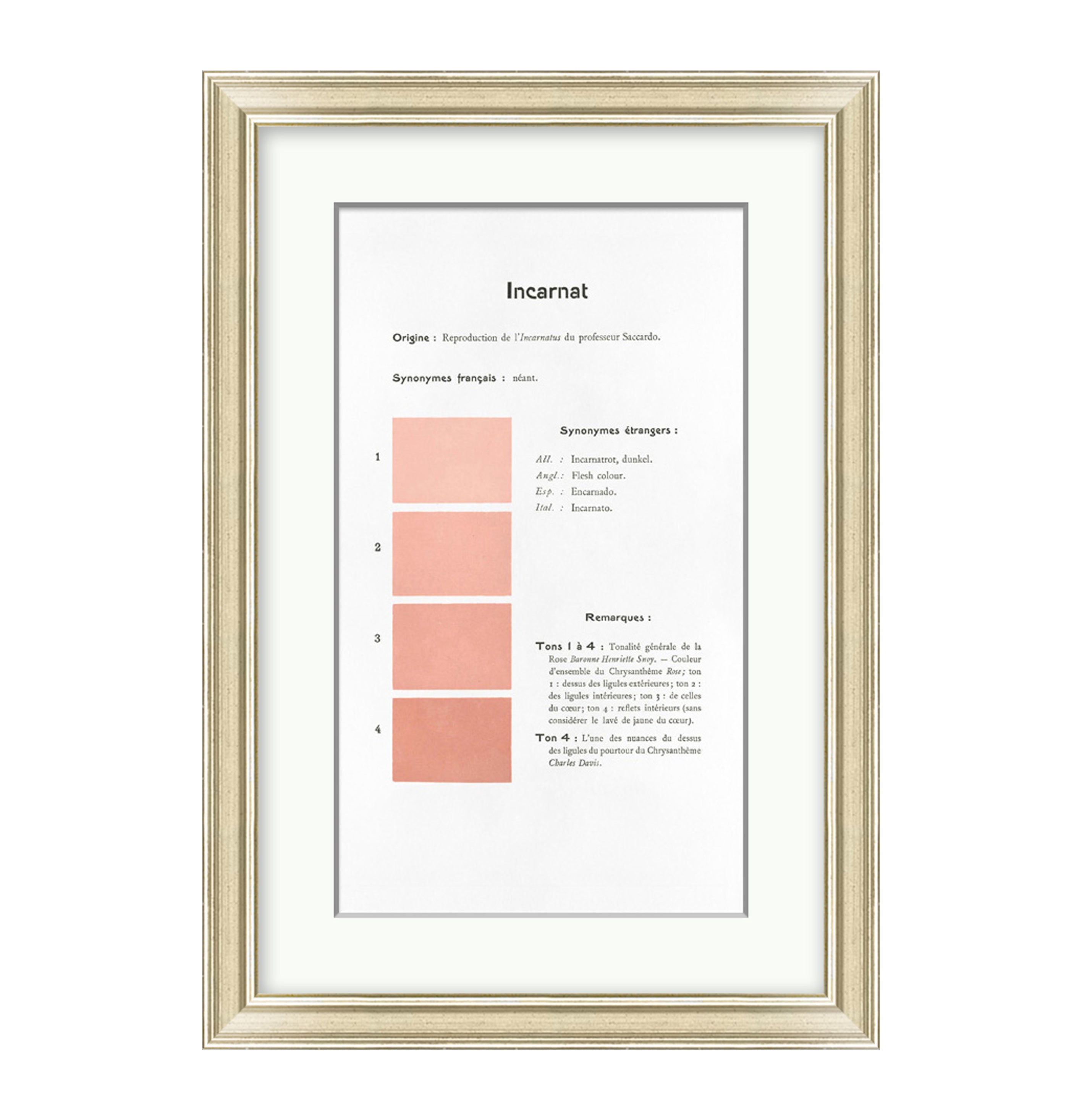 Danielle Rollins French Historical Color Analysis Collection