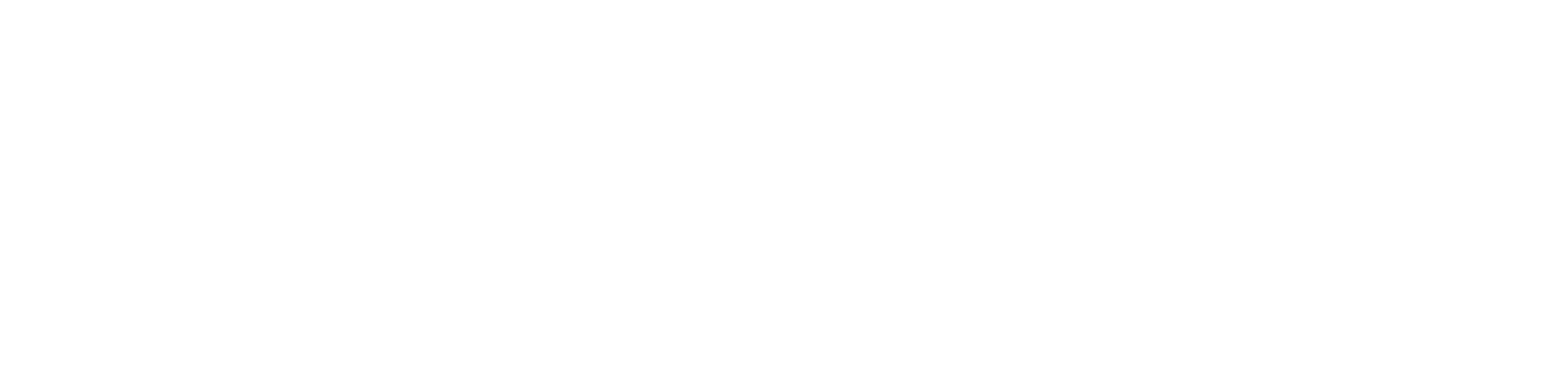 Danielle Rollins Brands LLC logo