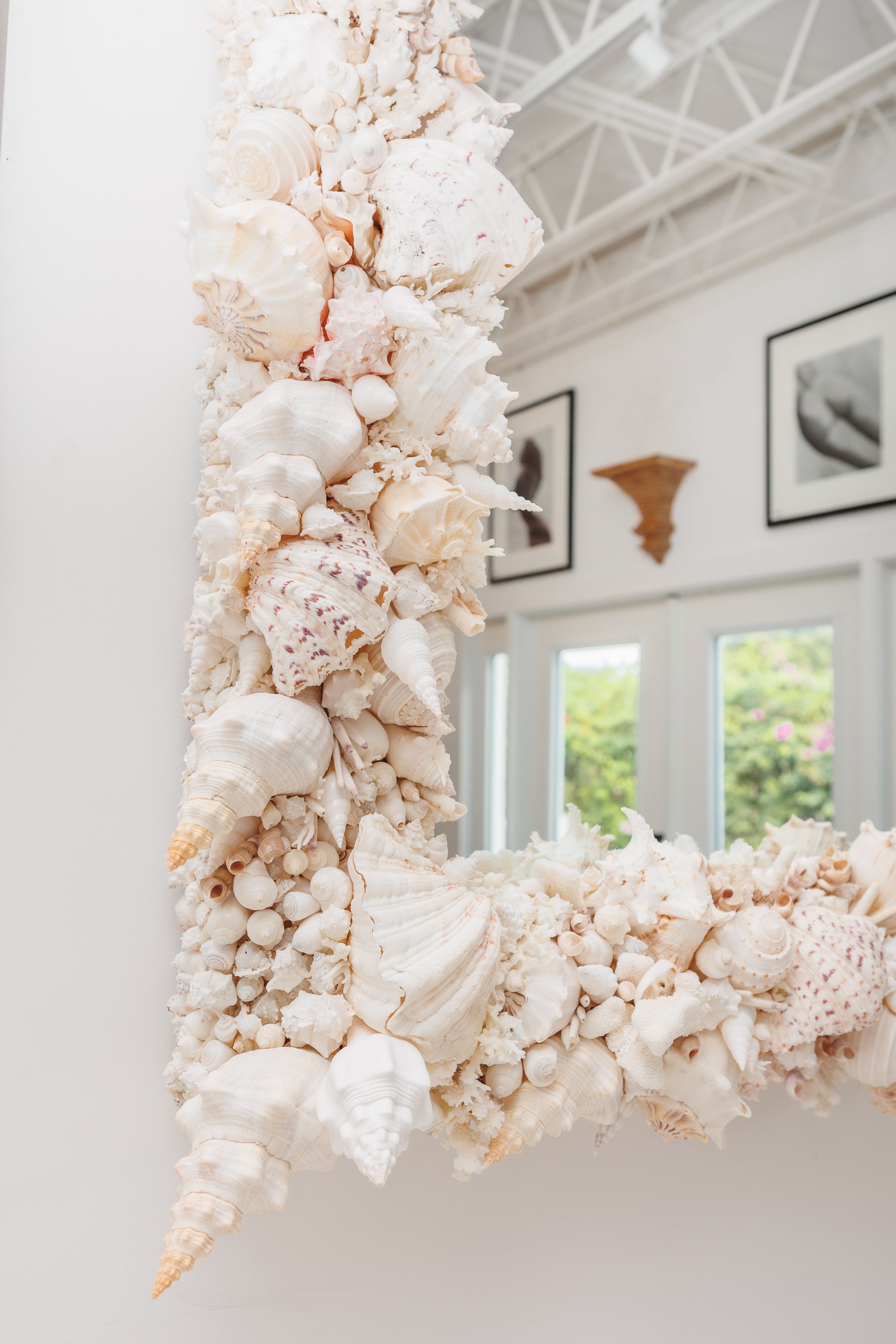 Elaborate King-Sized Coral Shell Specimen Mirror
