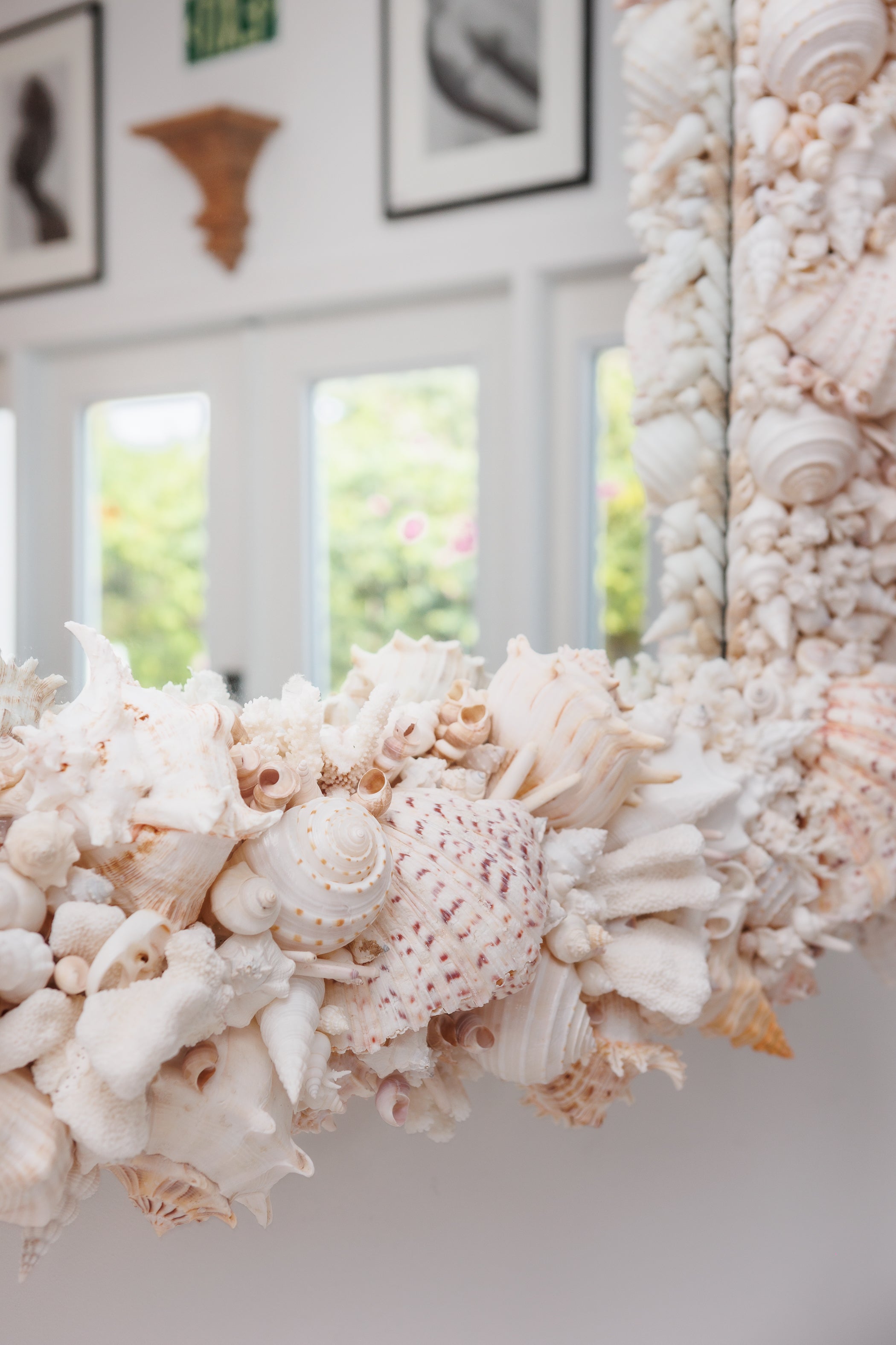 Elaborate King-Sized Coral Shell Specimen Mirror