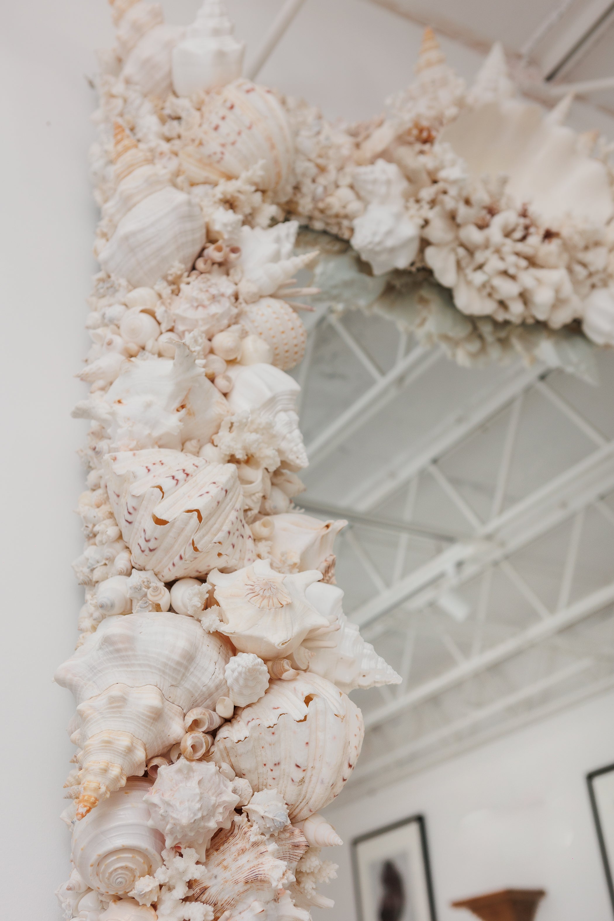 Elaborate King-Sized Coral Shell Specimen Mirror