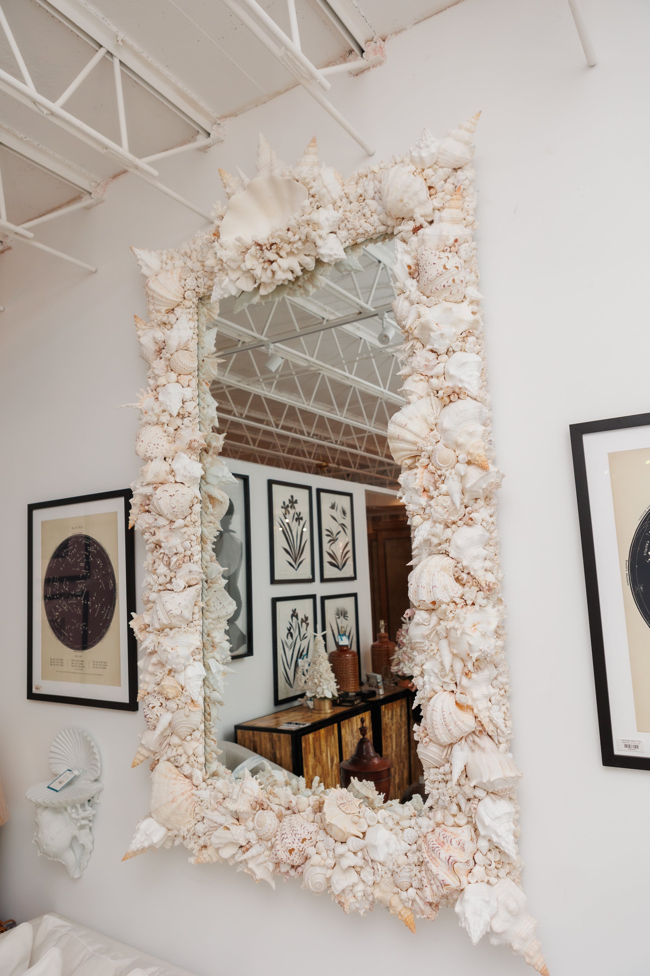 Elaborate King-Sized Coral Shell Specimen Mirror