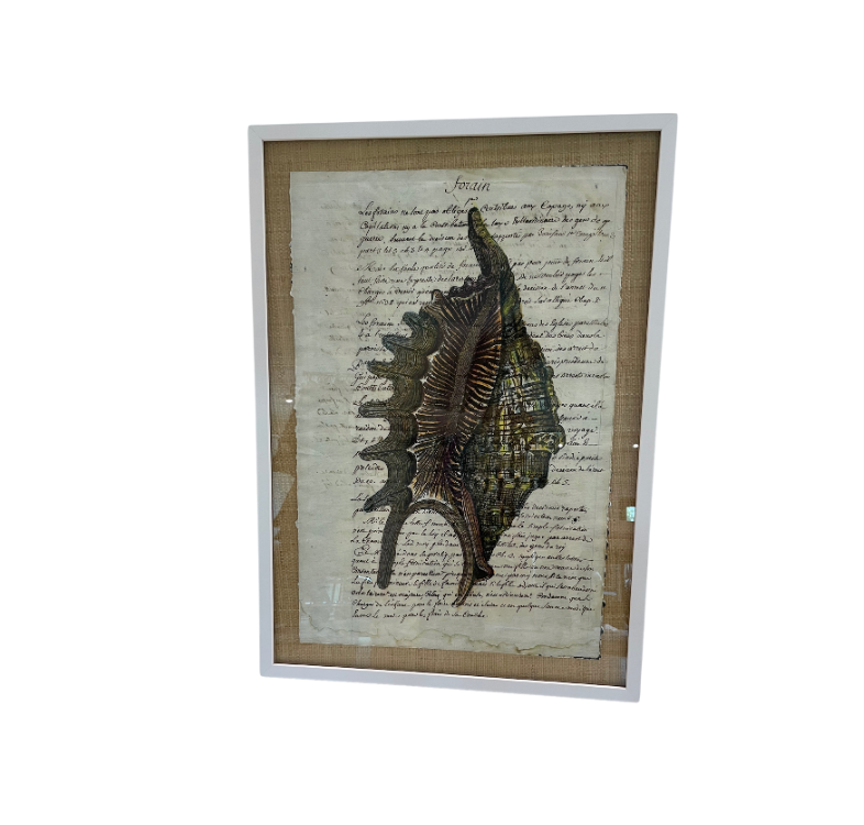 Sorain Manuscript Conch Shell