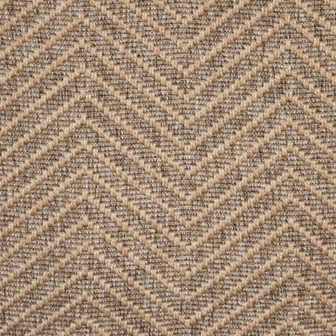 Spring Special Danielle Rollins Selected Chevron Rug