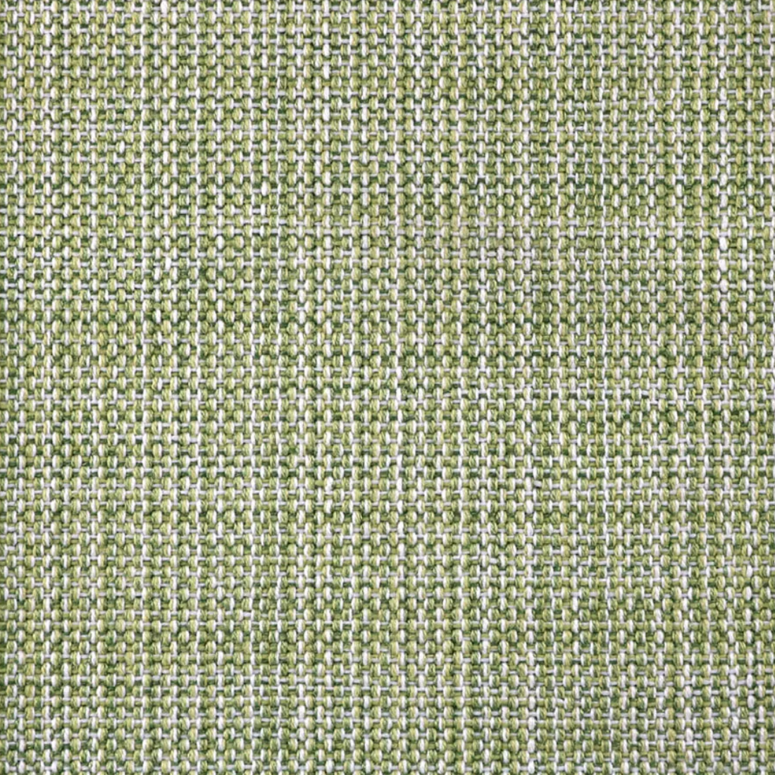 Spring Special Danielle Rollins Selected Avasso Rug