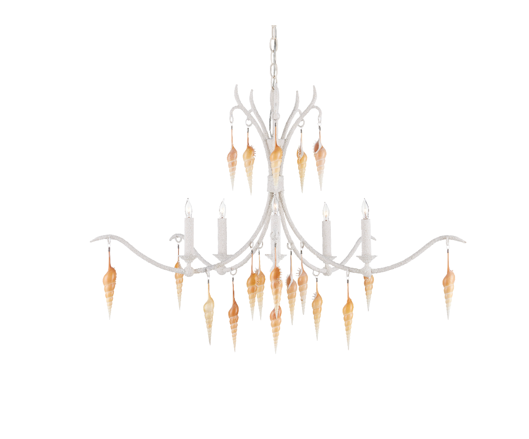 Arcachon Hanging Shell Chandelier