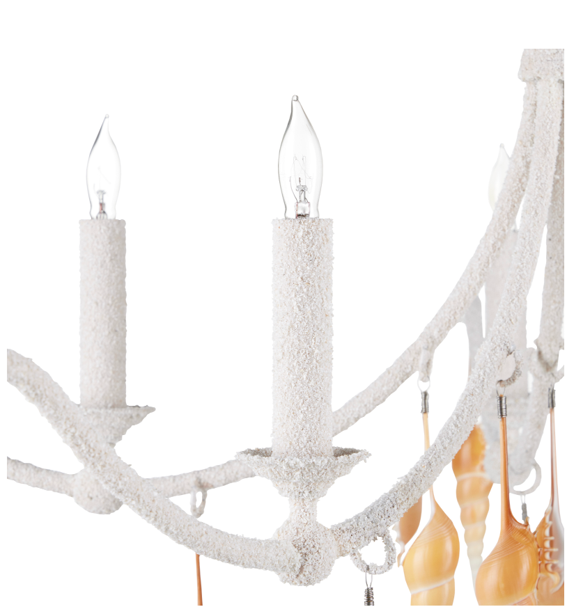 Arcachon Hanging Shell Chandelier