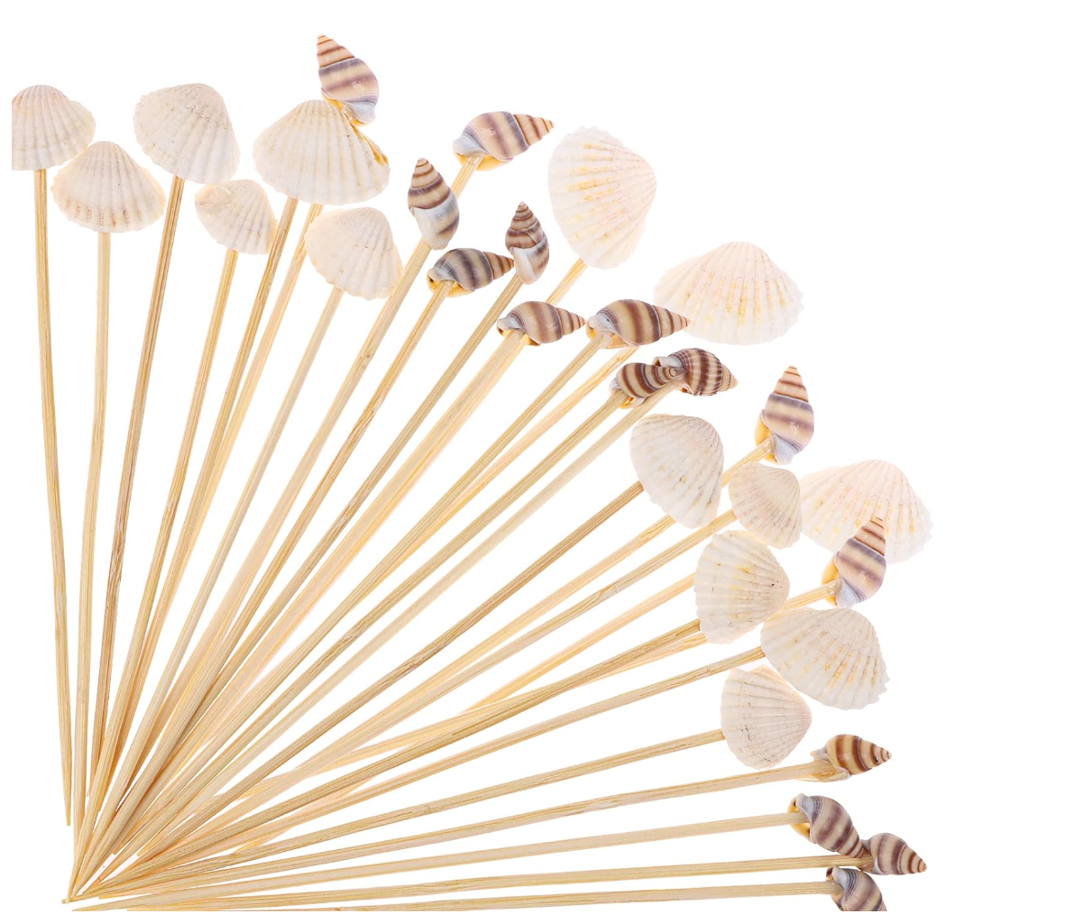 Assorted Seashell Toothpicks, 12 Pack