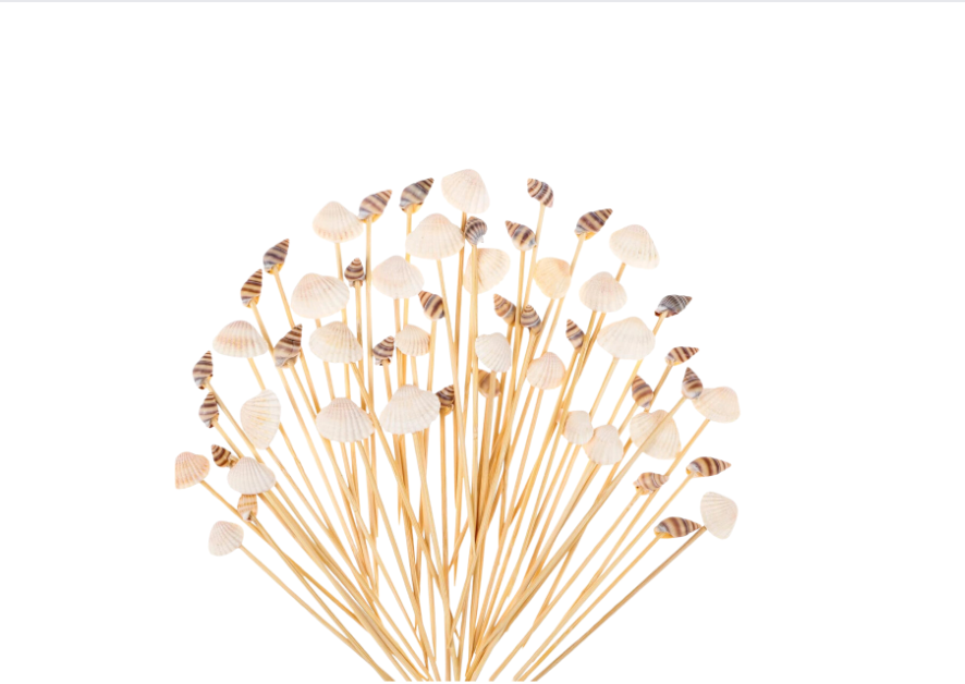 Assorted Seashell Toothpicks, 12 Pack