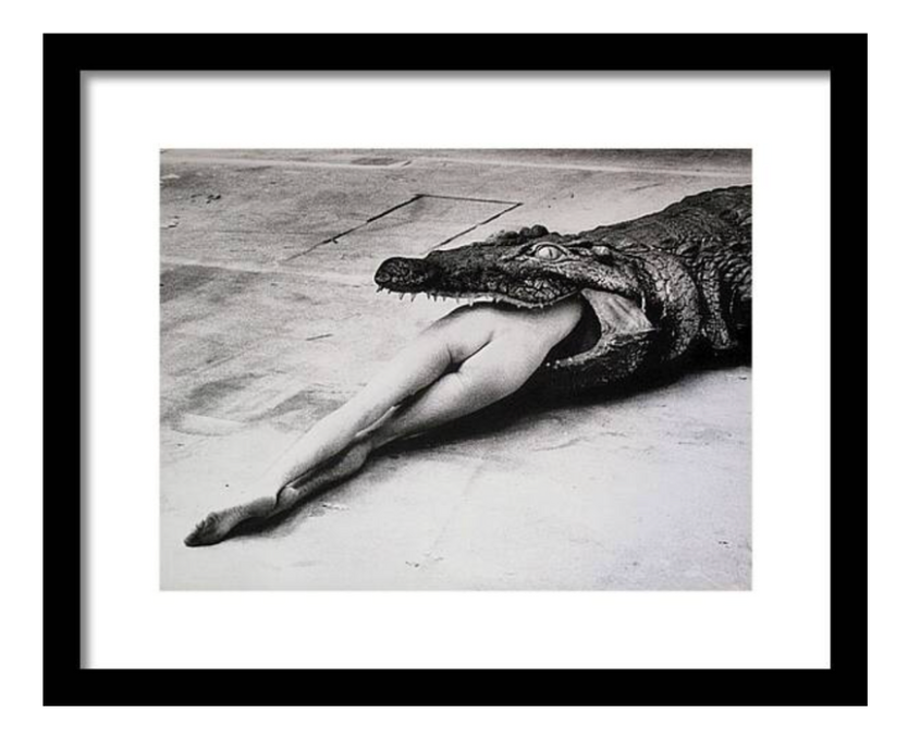 Limited Edition Helmut Newton 'Crocodile Eating Ballerina' Print
