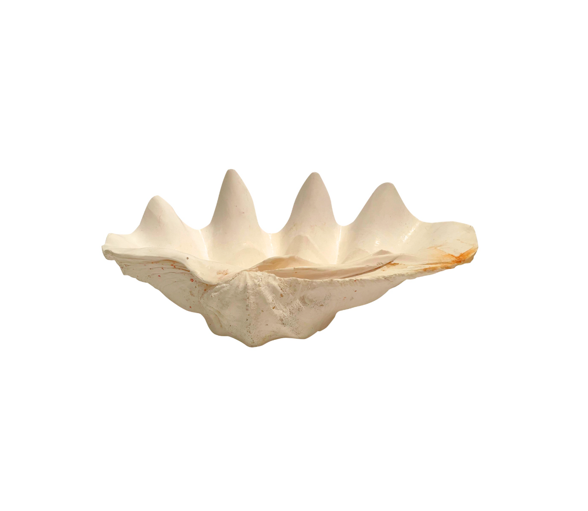 Gigas Tridacna Clam Shell Bowl