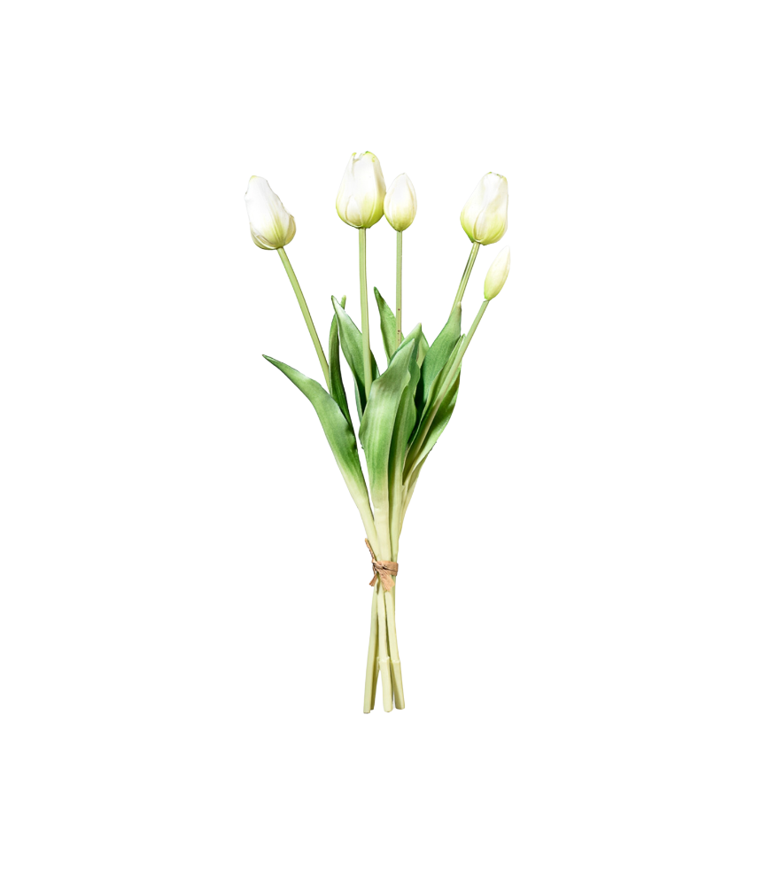 Tulip Bunch, Set of 5