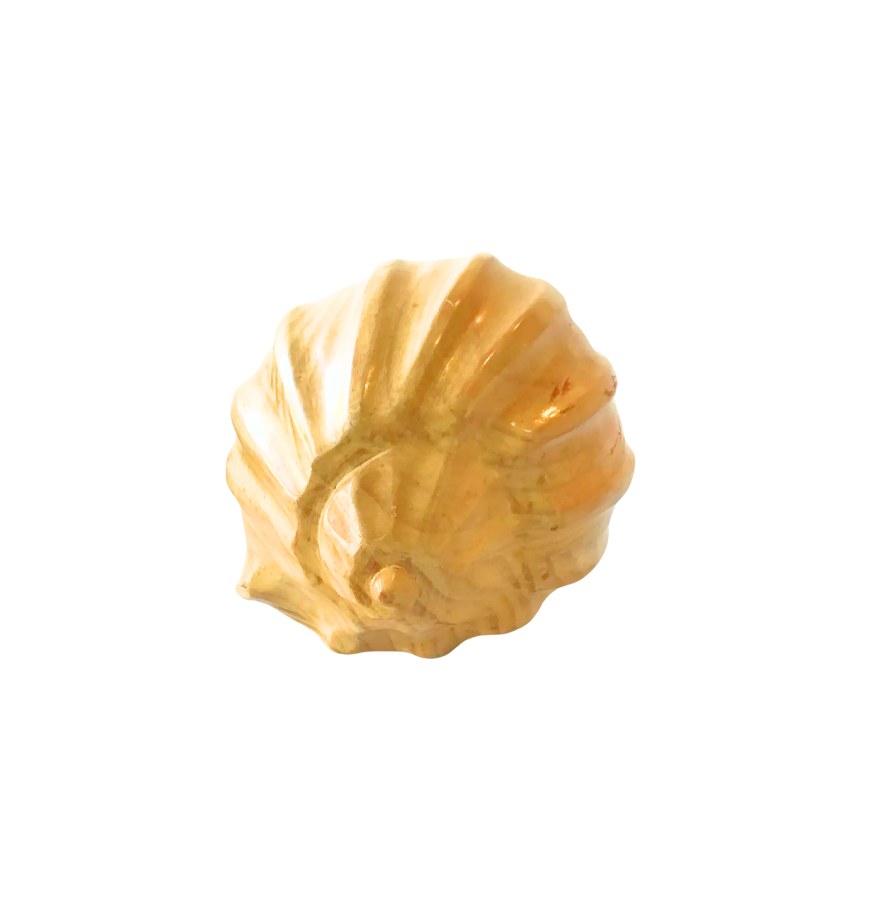 Hand Carved Large Wooden Seashell