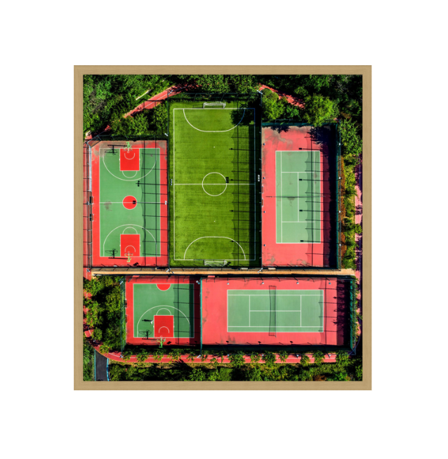 Jungle Court 1 in Shadow Box