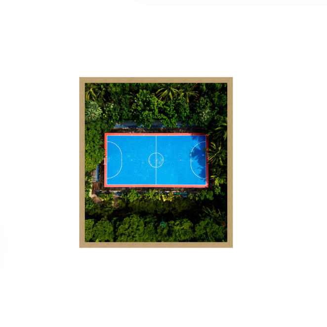 Jungle Court 2 in Shadow Box