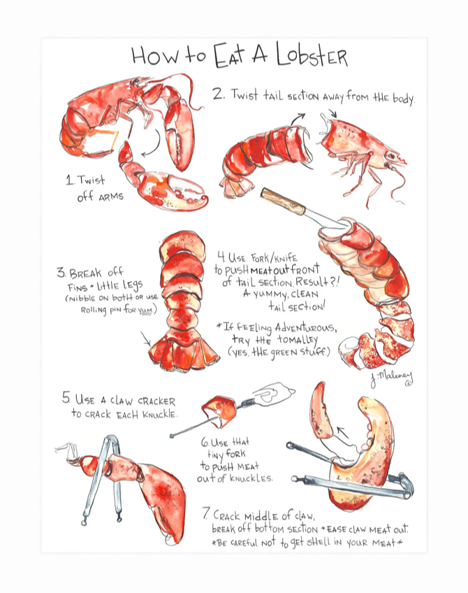 How to Eat a Lobster Table Card, Set of 4 -
