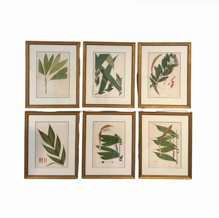 Botanical Palm Leaf Print
