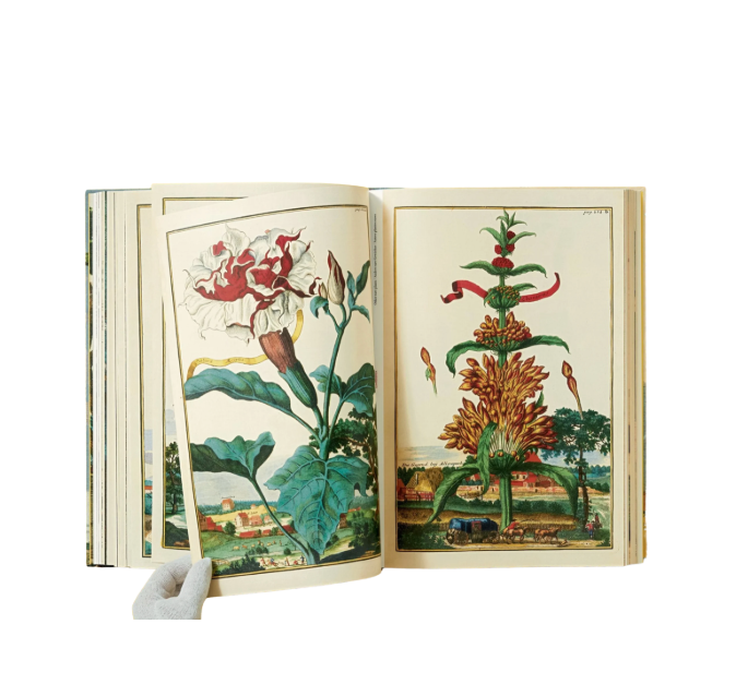 J. C. Volkamer. The Book of Citrus Fruits