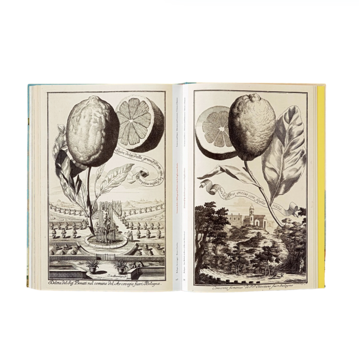J. C. Volkamer. The Book of Citrus Fruits