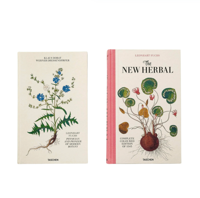 Leonhart Fuchs. The New Herbal