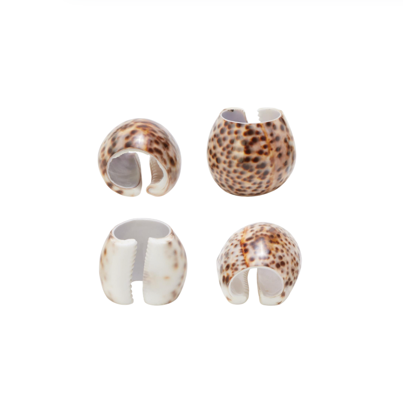Tiger Cowrie Shell Napkin Holders, Set of 4