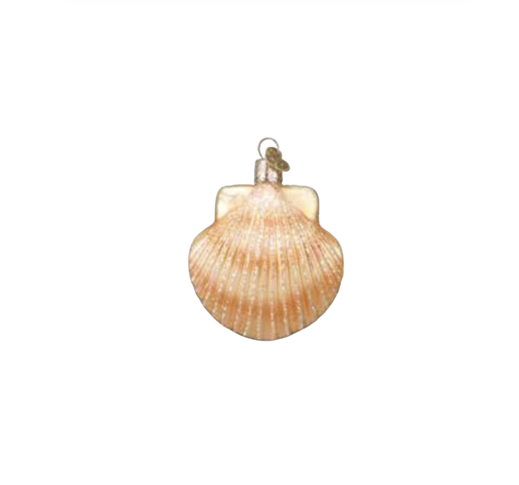 Scallop Shell Ornament