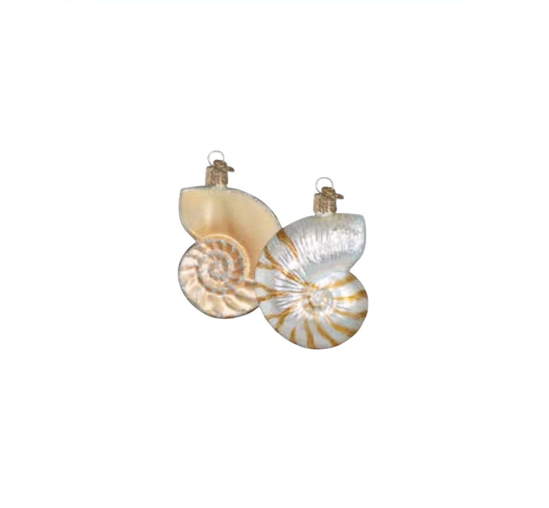 Nautilus Shell Ornament
