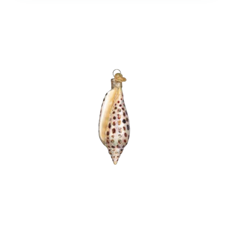 Junonia Shell Ornament