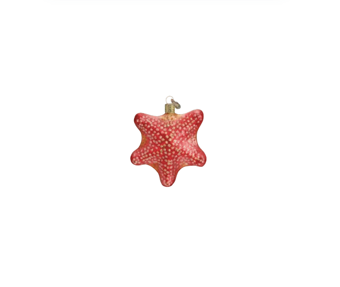 Starfish Ornament