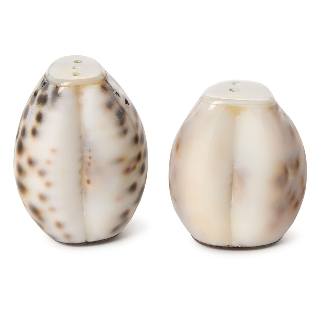 Tiger Cowrie Shell Salt and Pepper Shakers