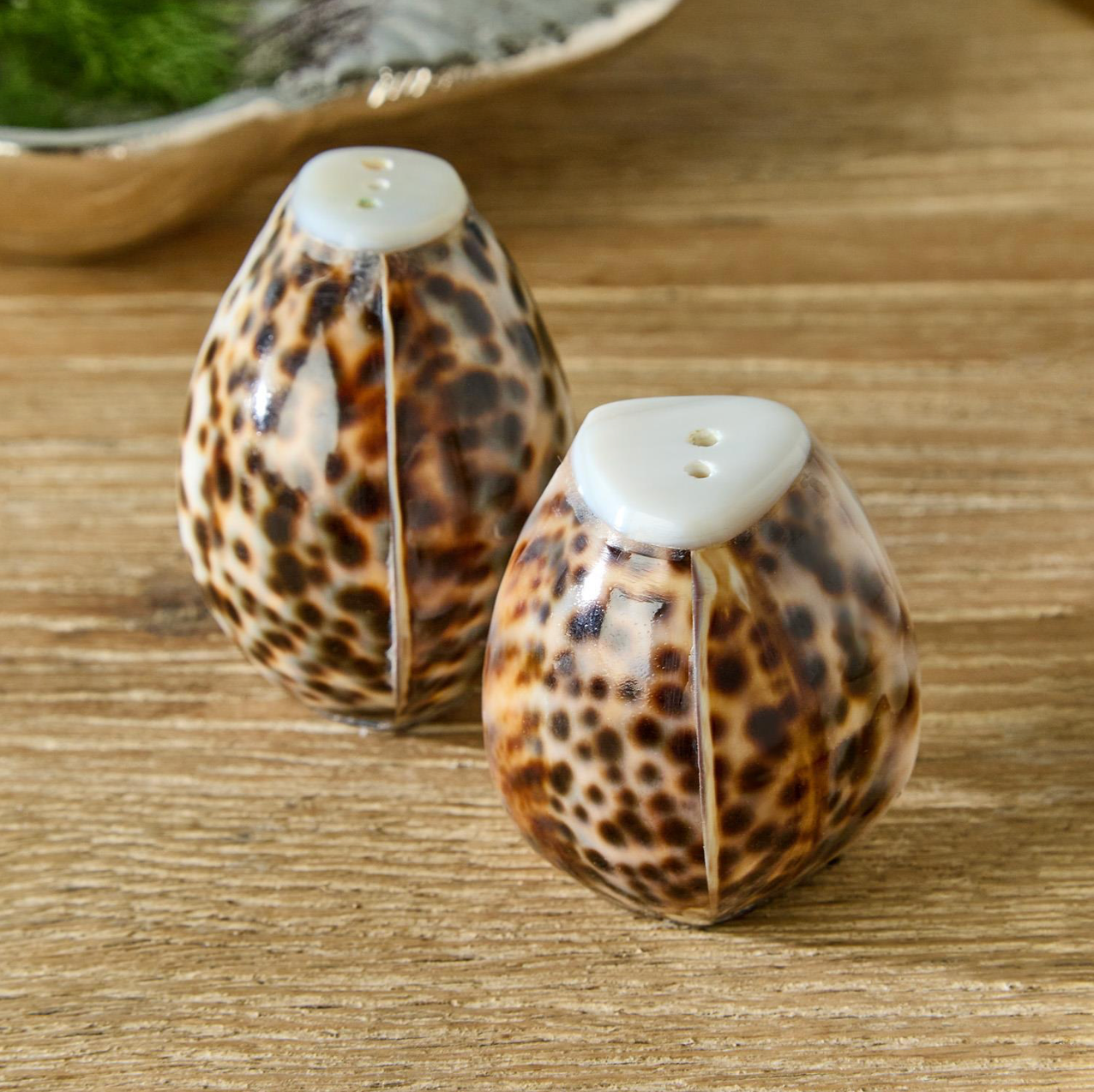 Tiger Cowrie Shell Salt and Pepper Shakers