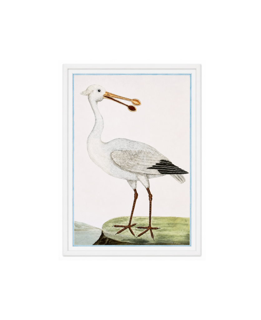 English Aquatic Bird III