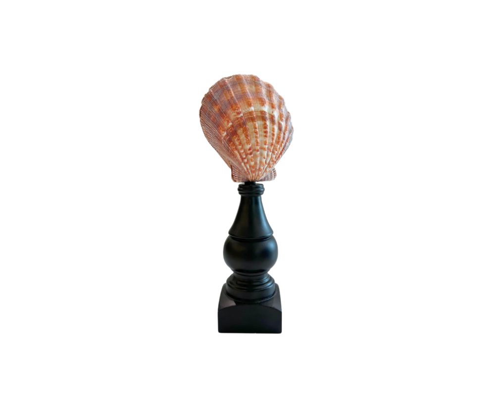 Scalloped Seashells On Stand
