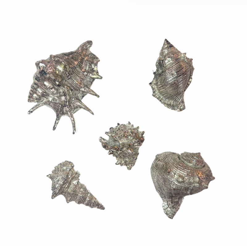 Silver Plated Seashells