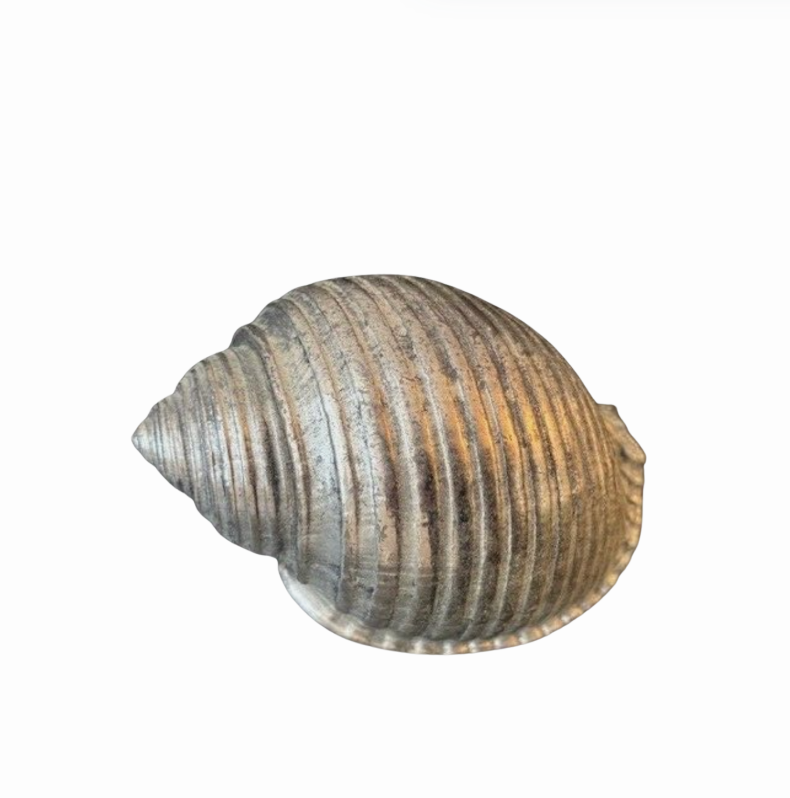 Vintage Silver Plated Seashell