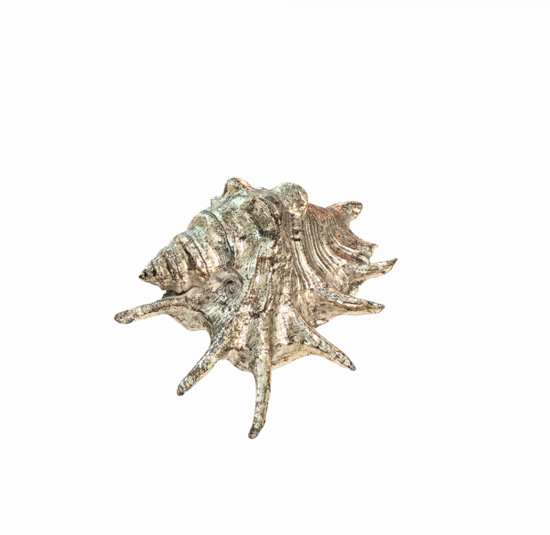 Silver Plated Seashells