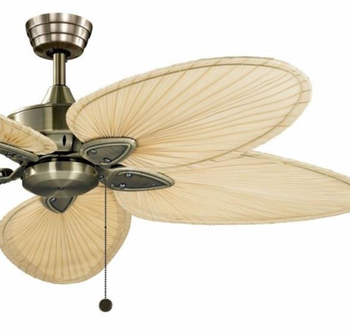 Palm Indoor Fan