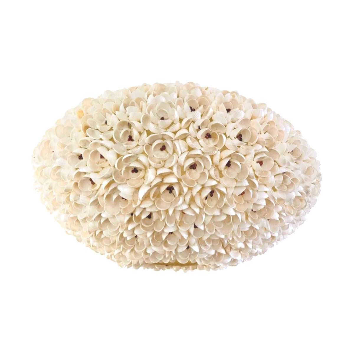 Elaborate Vintage Handmade Seashell Chandelier on white