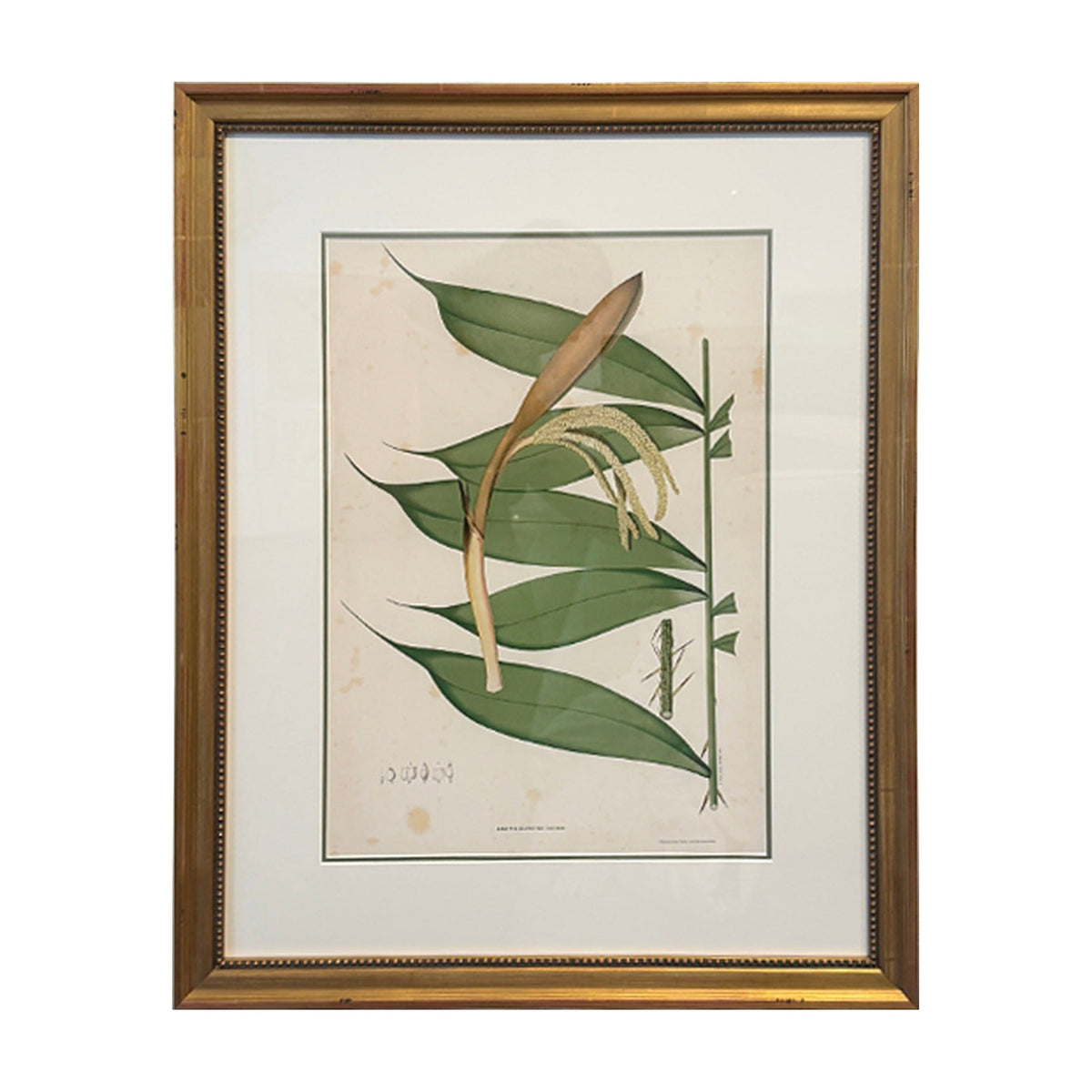 Botanical Palm Leaf Print No. 4, framed art