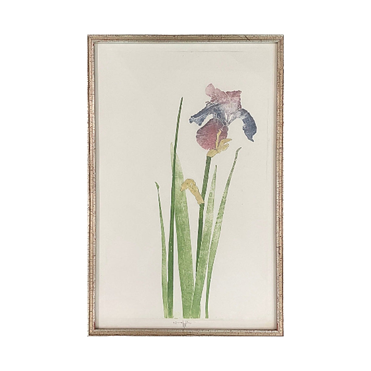 Mid Century Botanical Print II, framed art