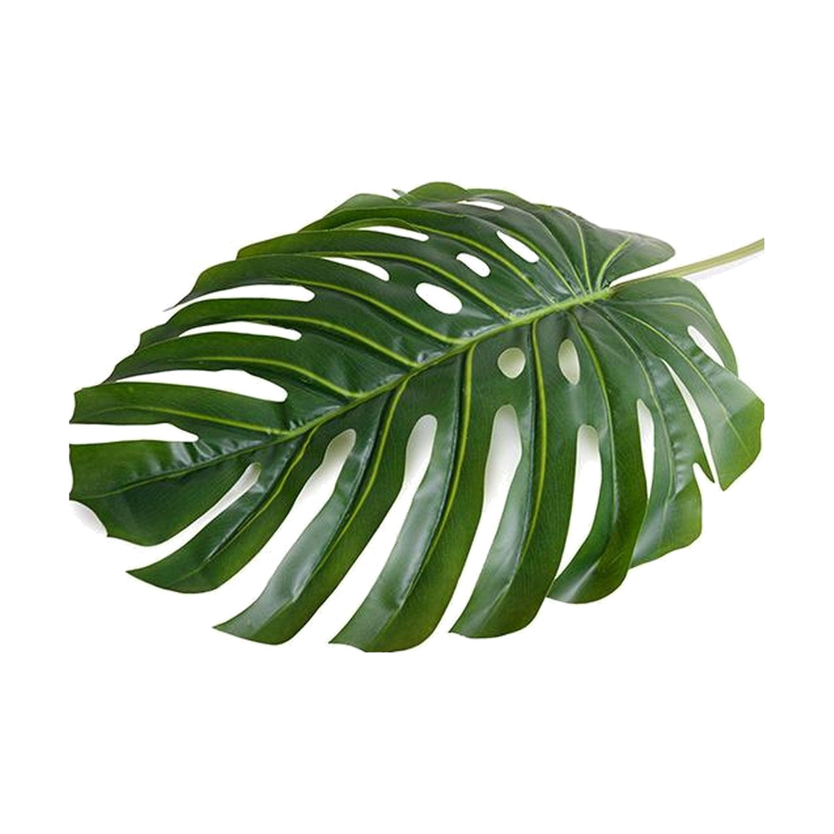 Large Faux Monstera Leaf on a white background