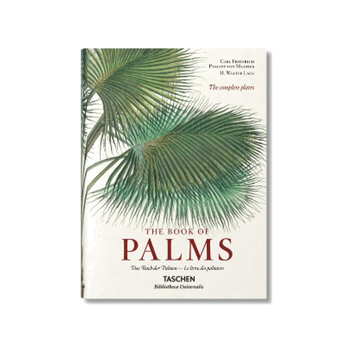 The Book Of Palms on a white background