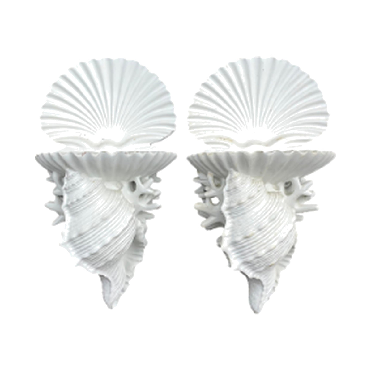 A Pair, Vintage Shell Brackets on a white background