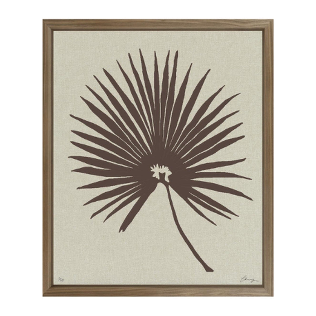 Floating Fan Palm Print, framed botanical art