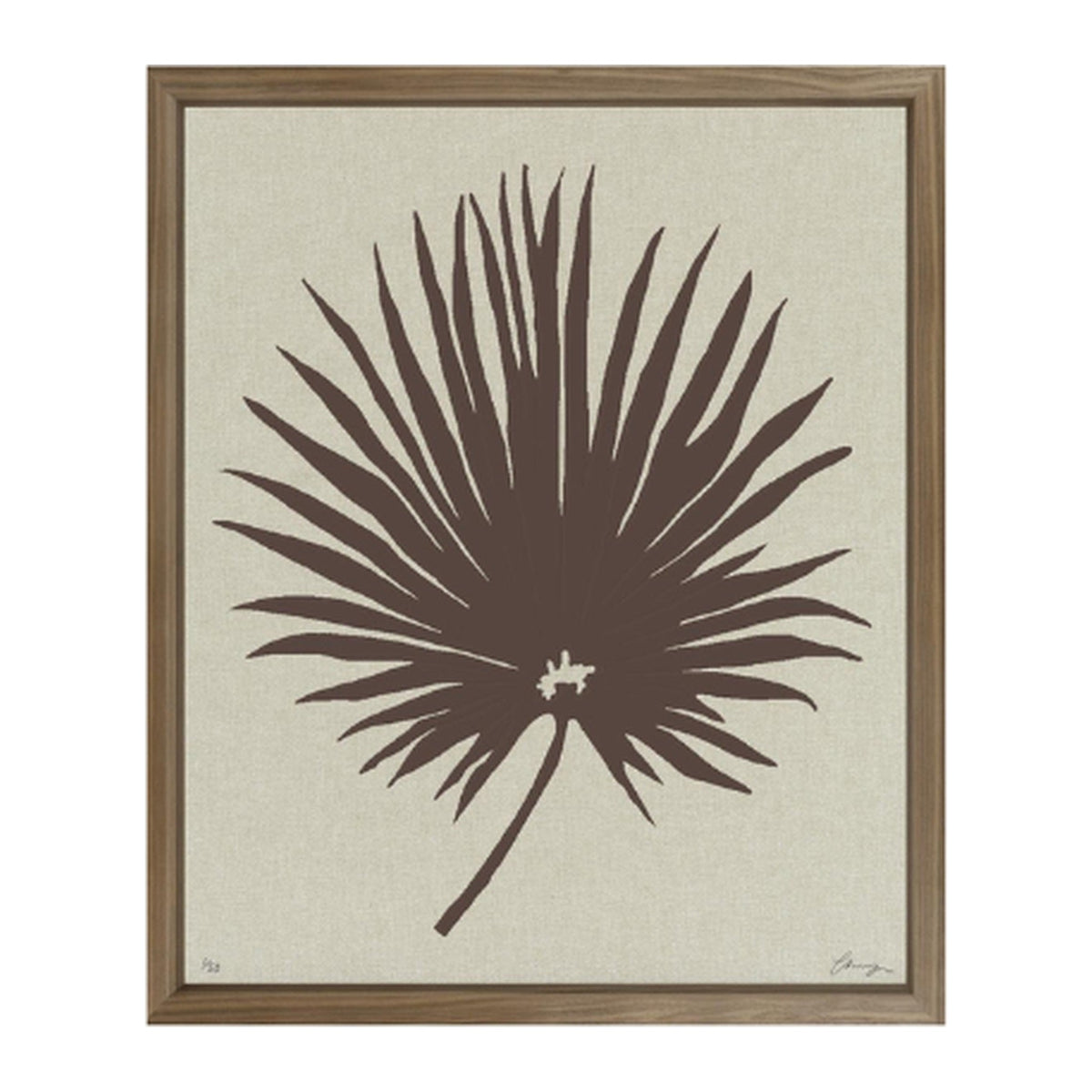 Floating Fan Palm Print, framed botanical art