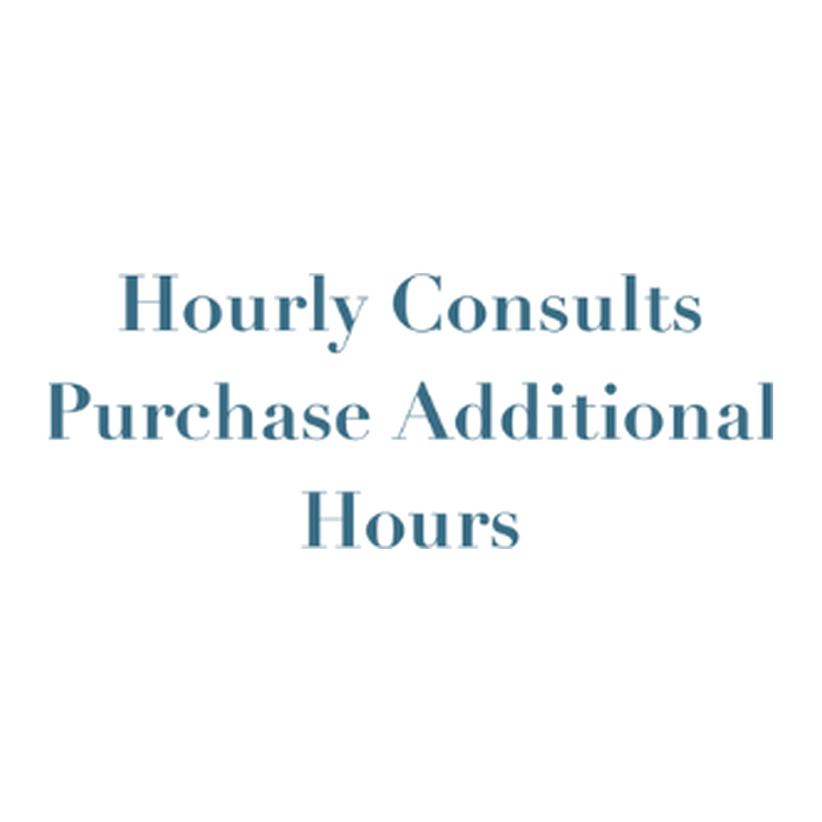 Additional In Person Hourly Consultation on a white background