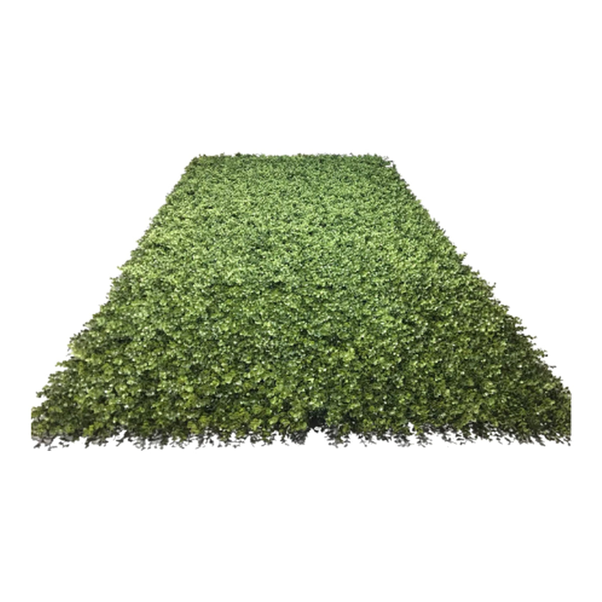 4' W x 8' H Boxwood Wall Mat on a white background